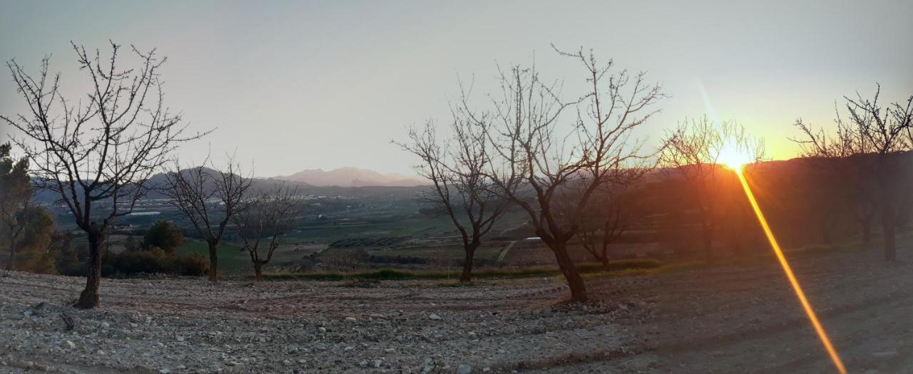 Corbera Casa La Foradada Bed & Breakfast エクステリア 写真